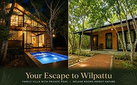Life Of Leisure Wilpattu
